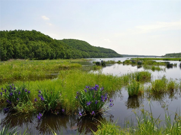 怎样治理河道水草垃圾
