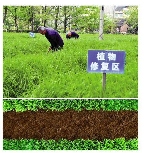 6a2bbe3108b9a.jpg 2022海普欧最新画册_页面_22_06.jpg